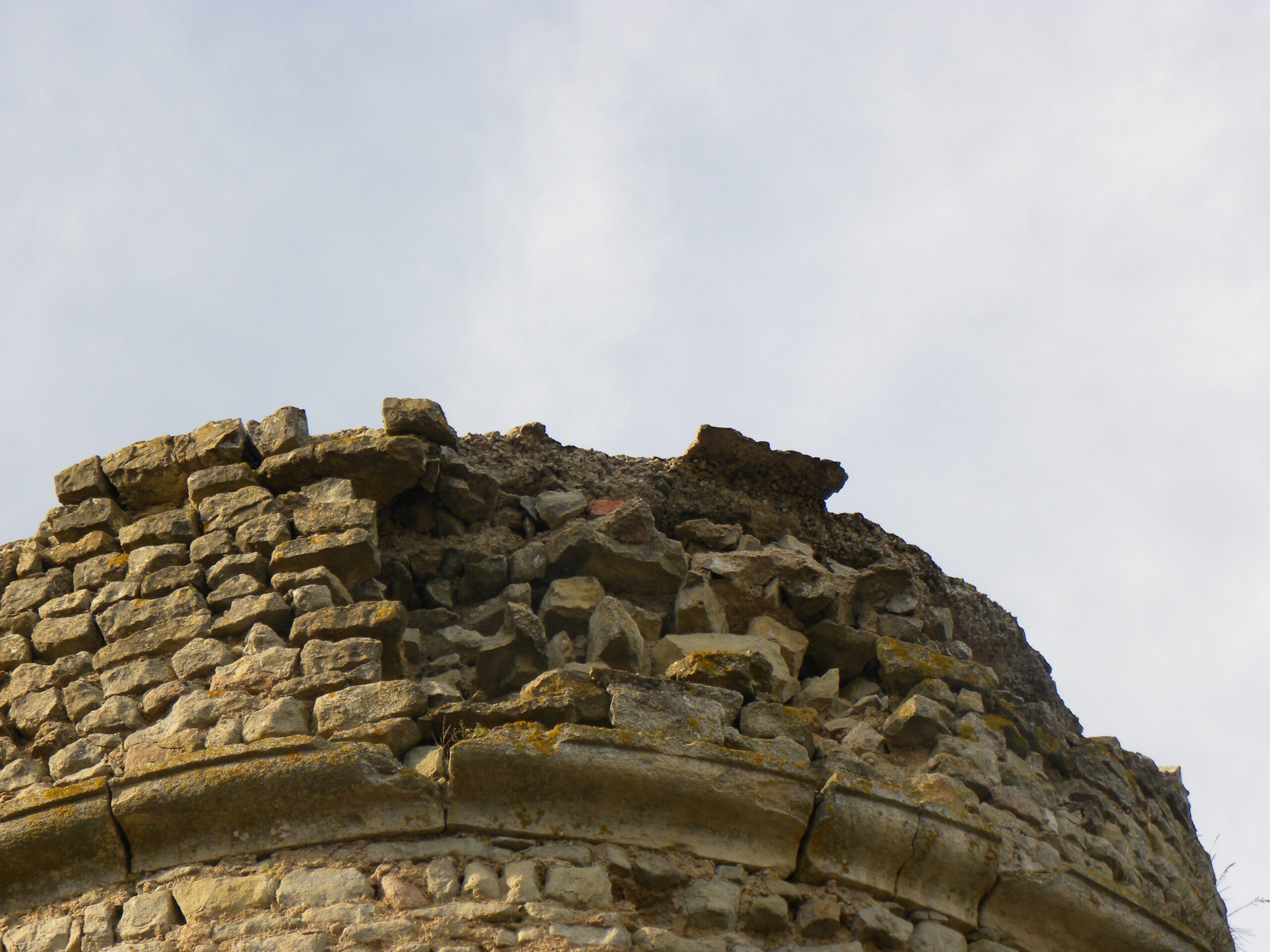 2010-10-29 (116)