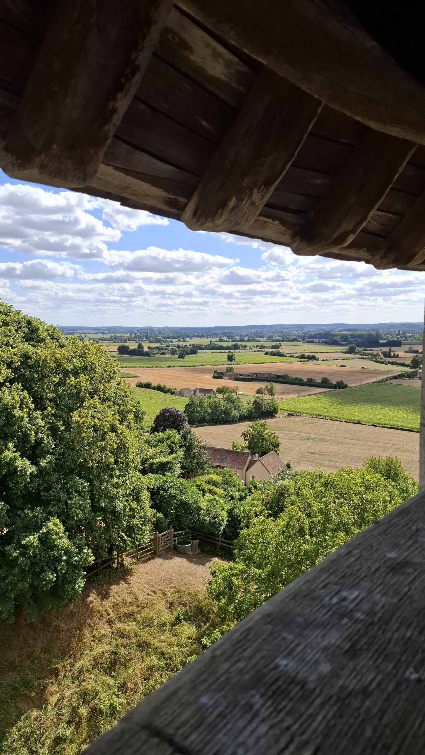 2025 07 17_Lucie (372)