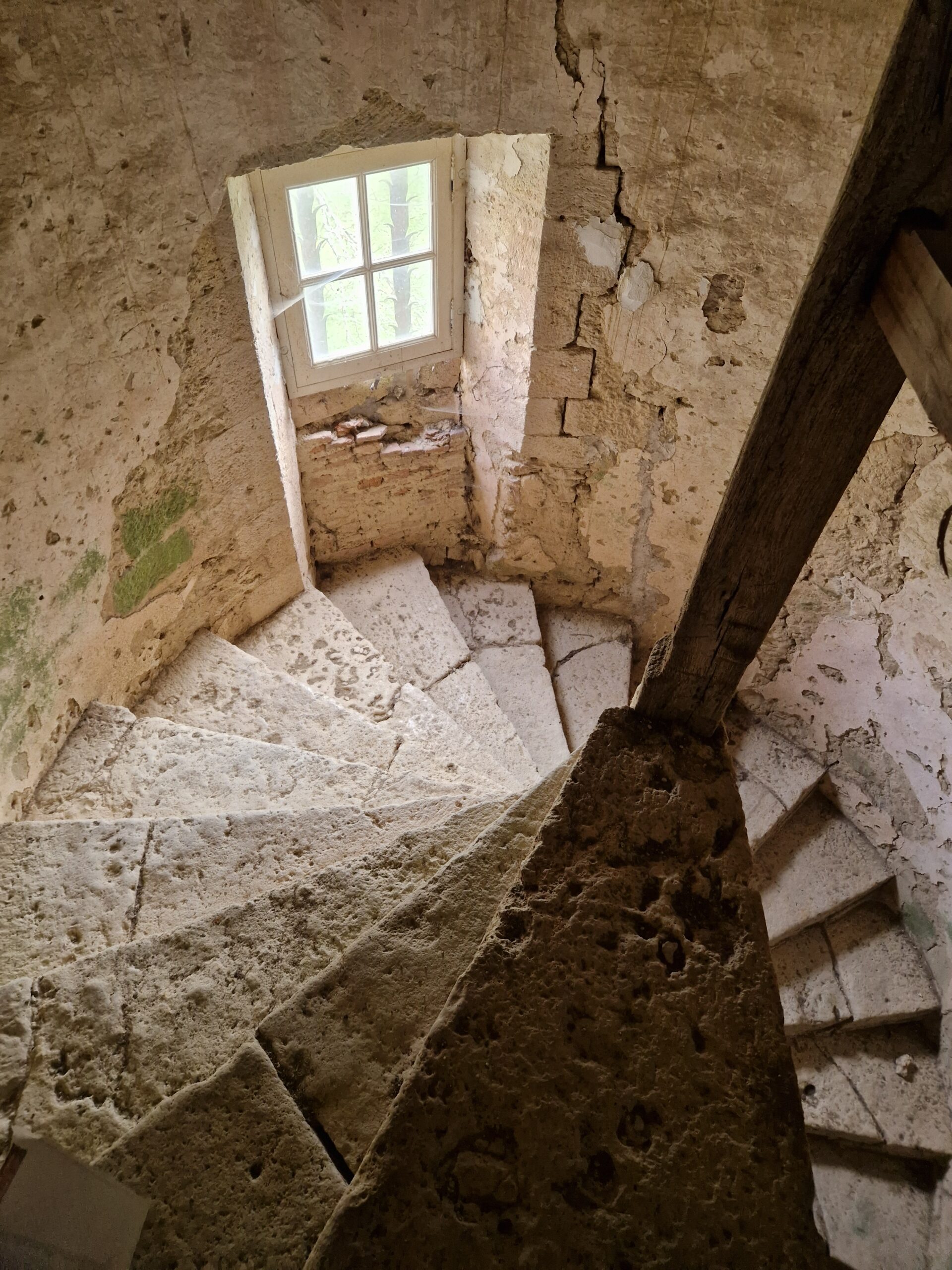 20260306_Juliette (250)