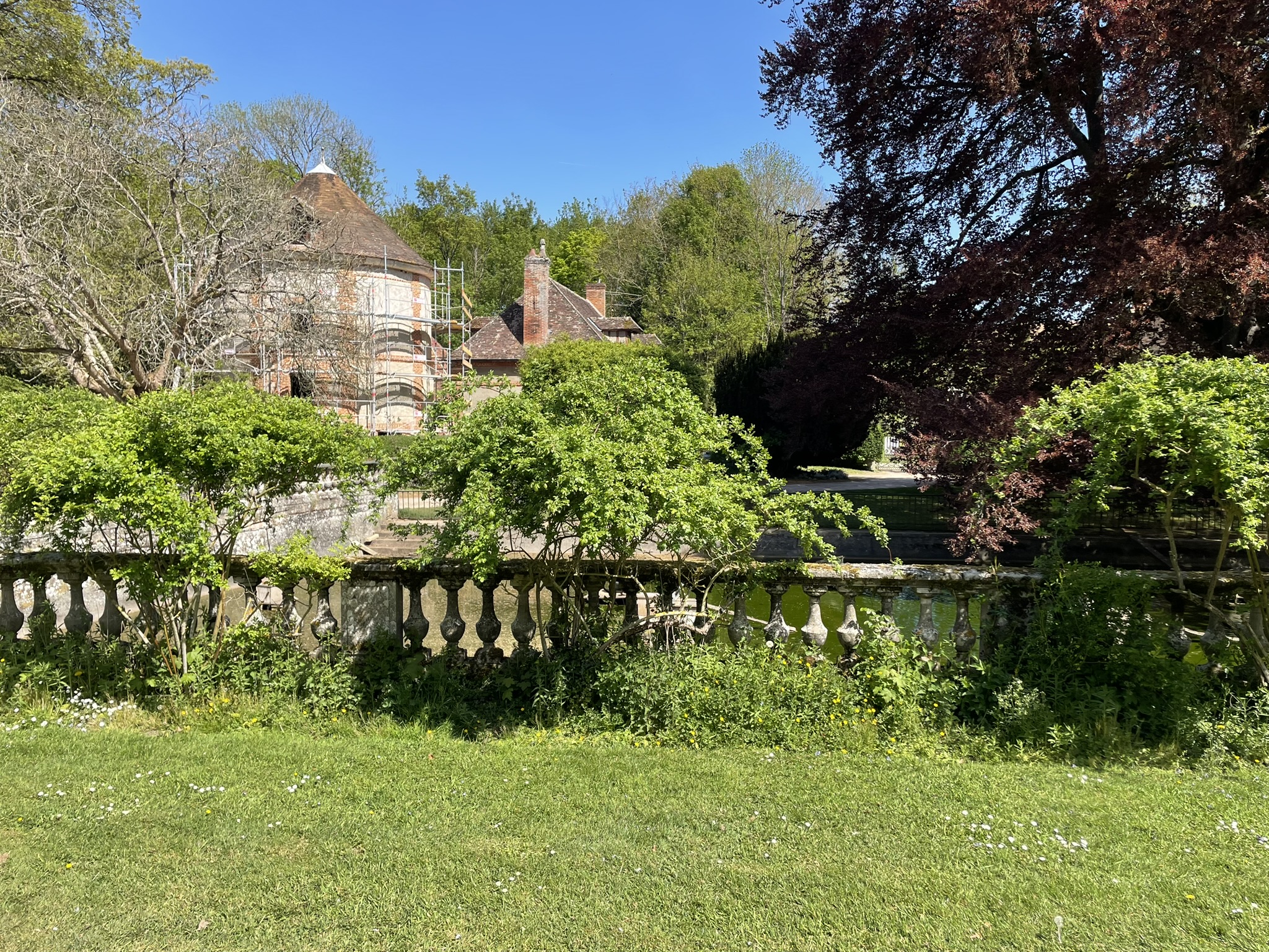 20260422_Eugénie (134)