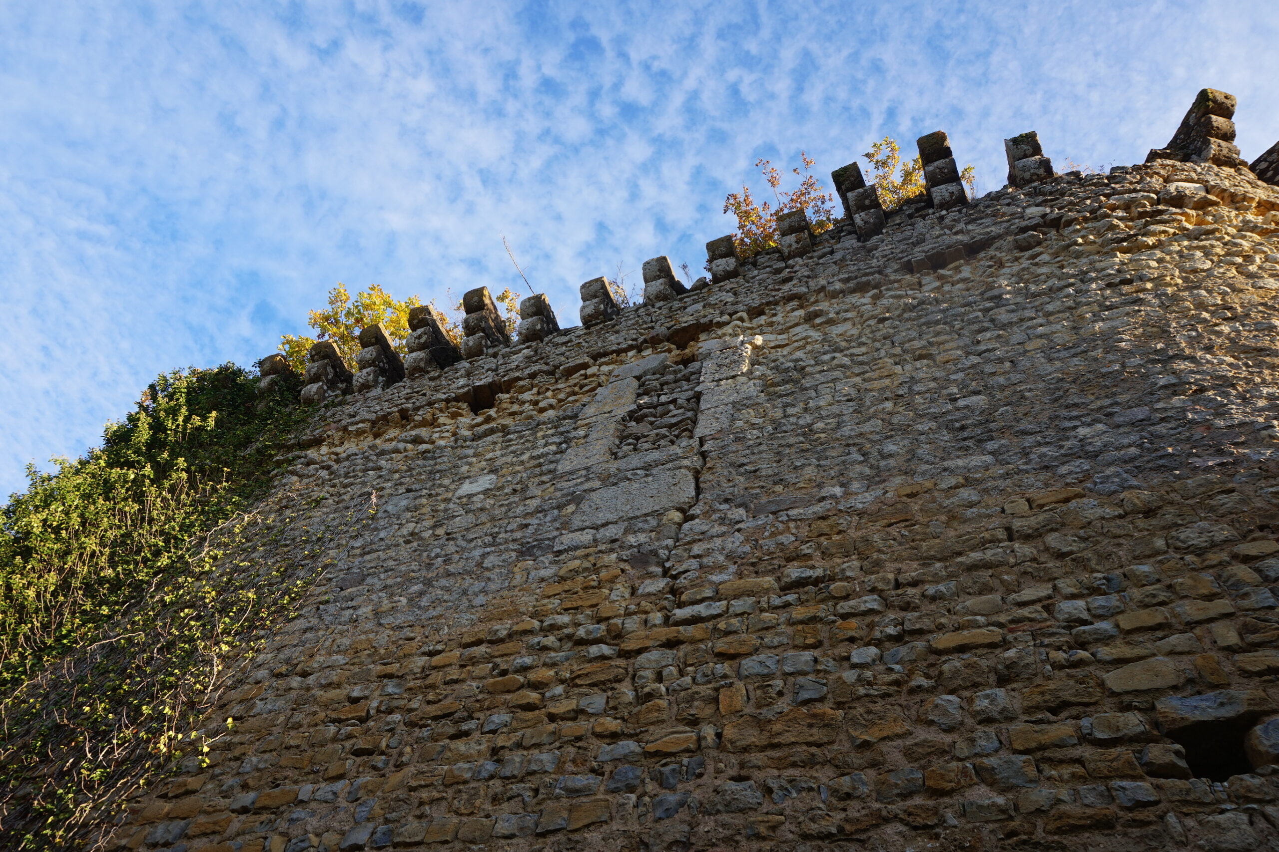 36_Prune-au-Pot_2024