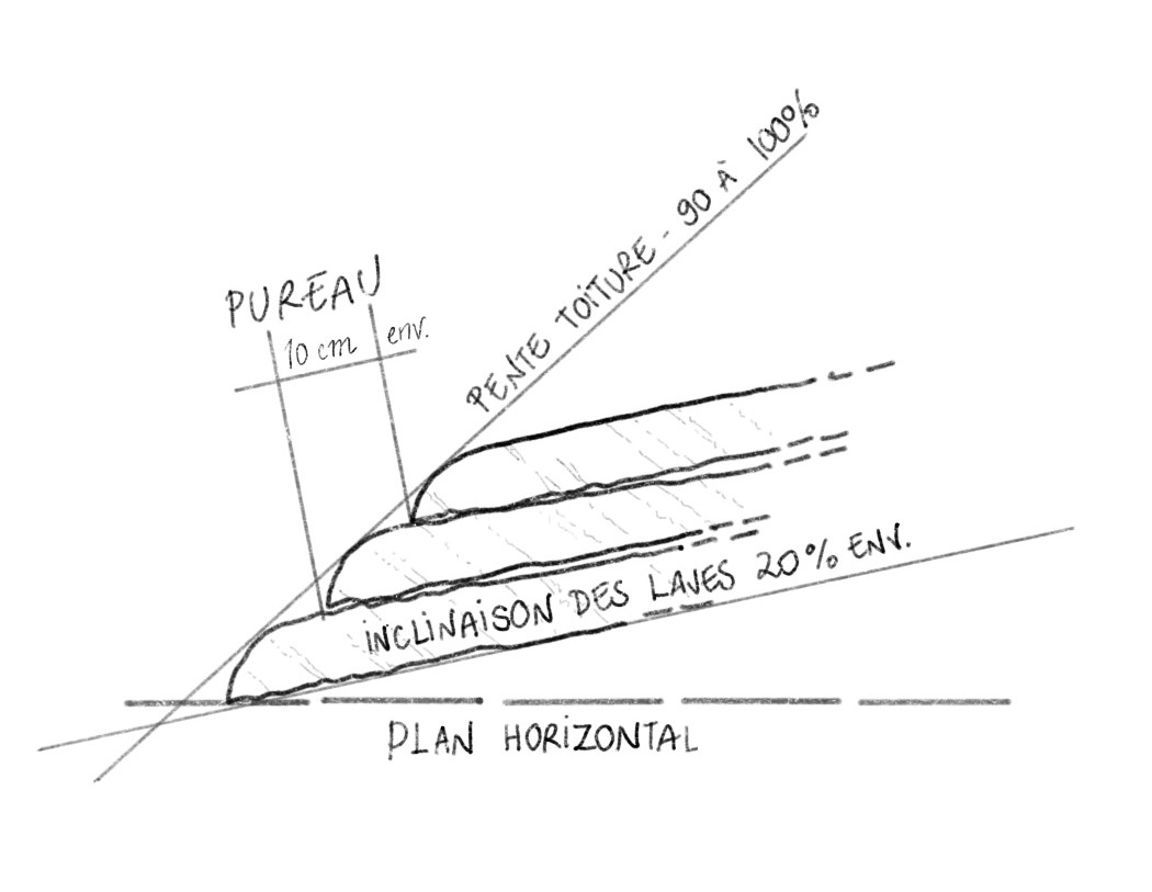Illustration sans titre