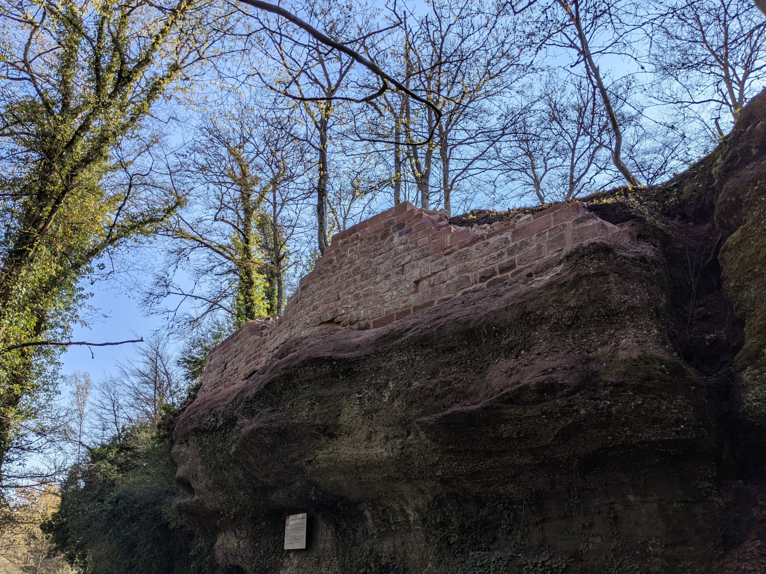 NDV_R_NVA - 21.04 (3)