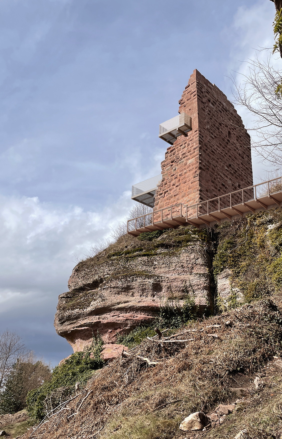 PERS BELVEDERE V1bis