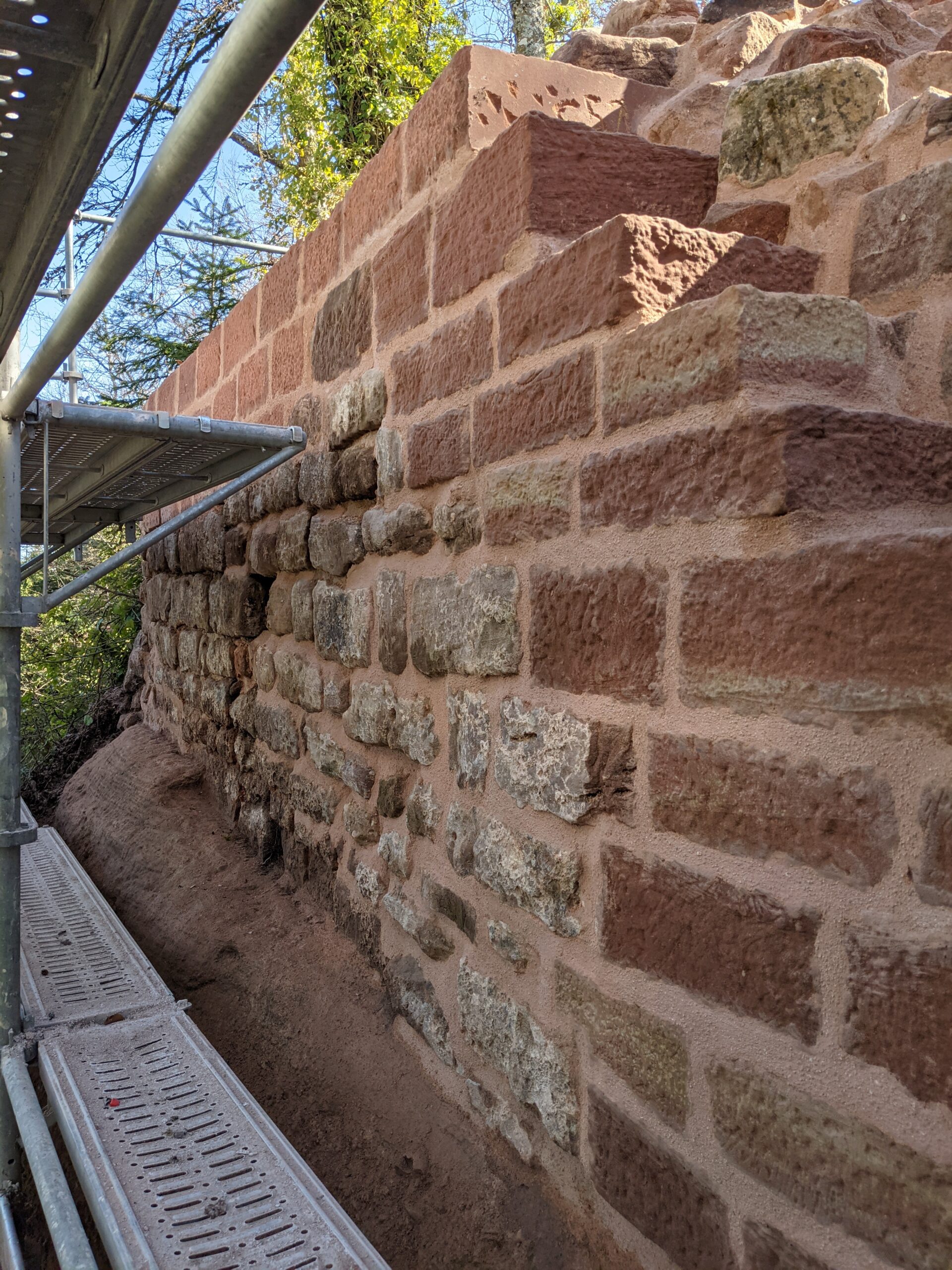 PXL_20210324_101832231