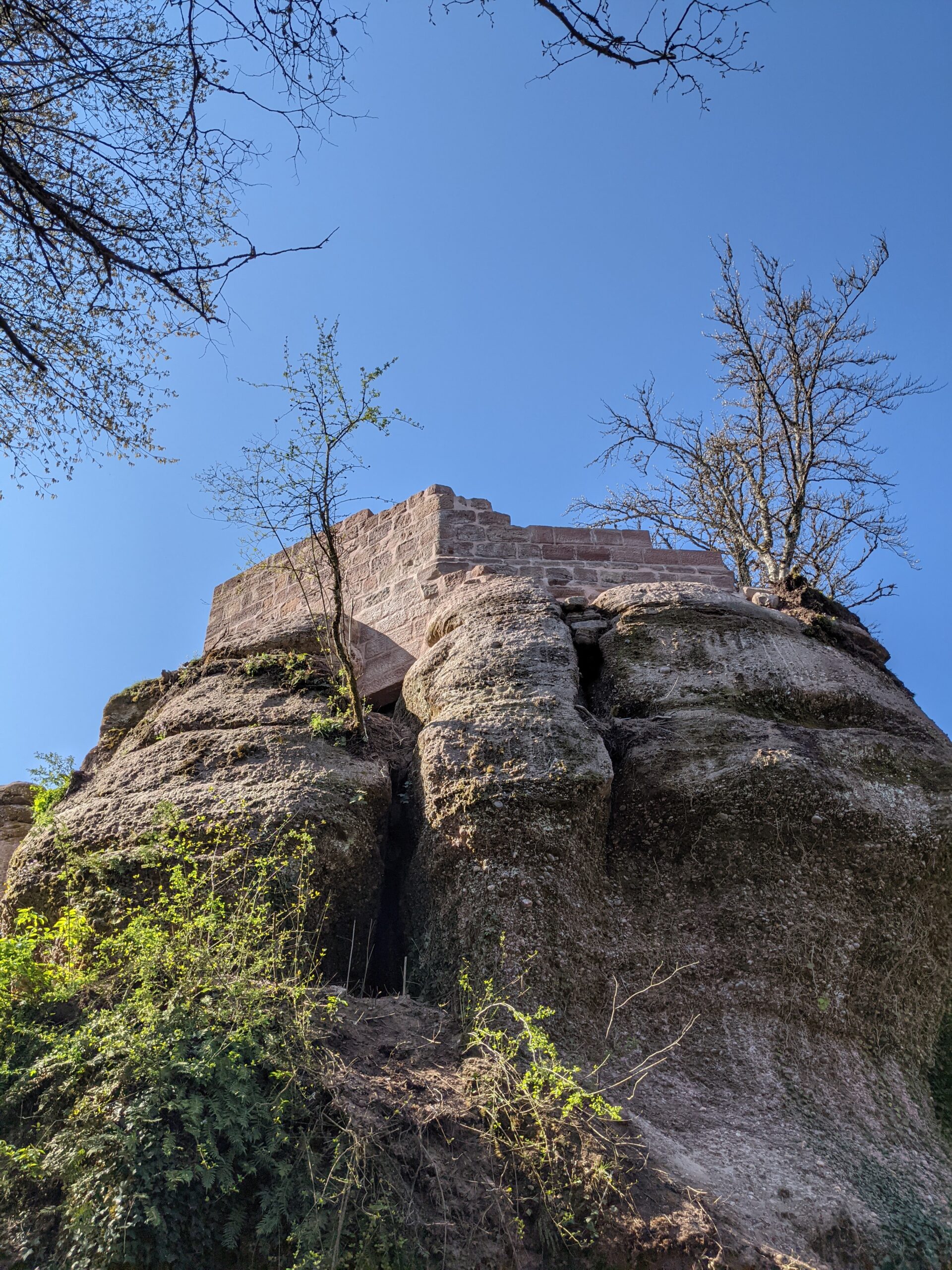 PXL_20210421_084231761