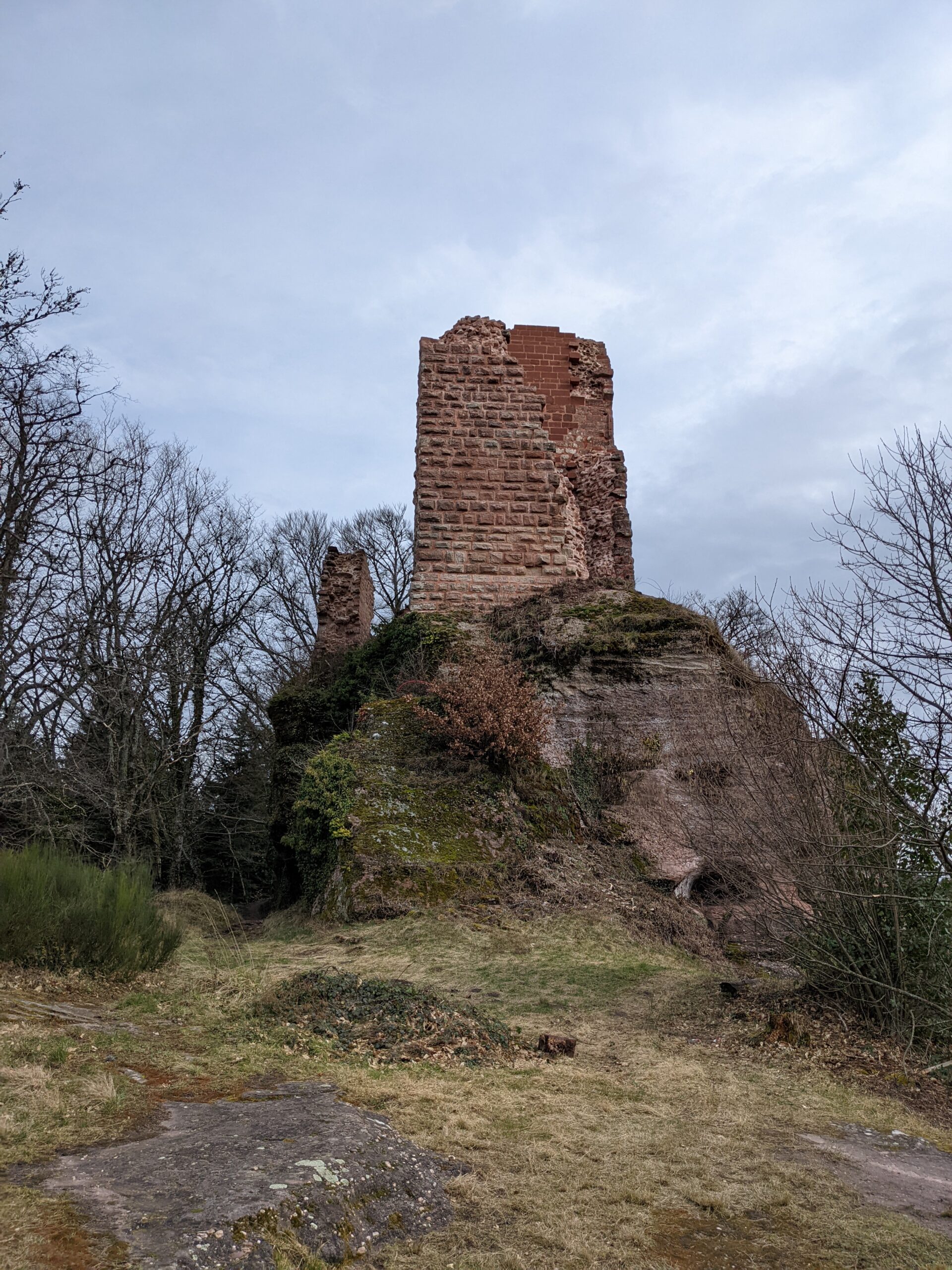 PXL_20220224_105623085