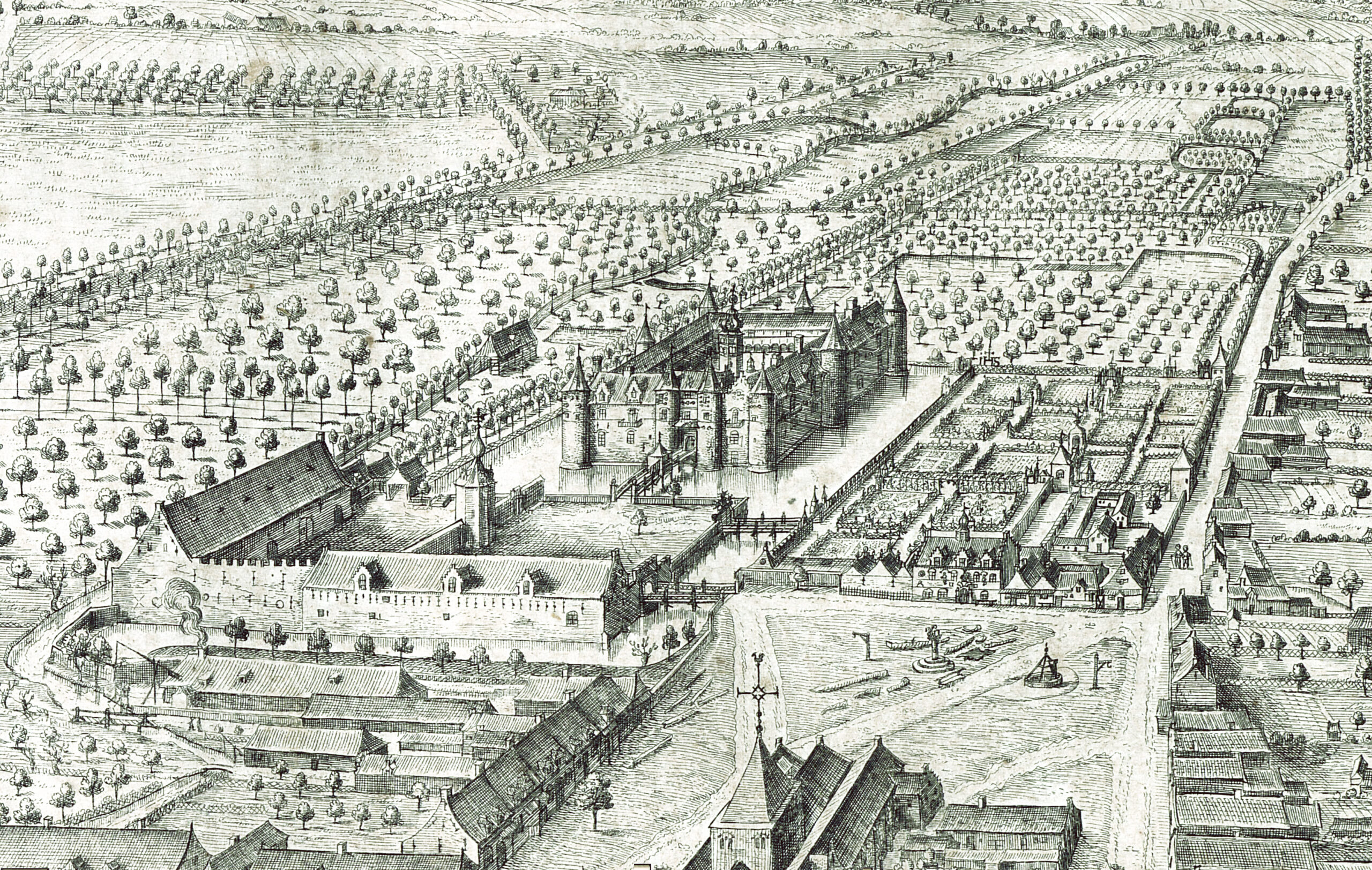 Sanderus recadré HD