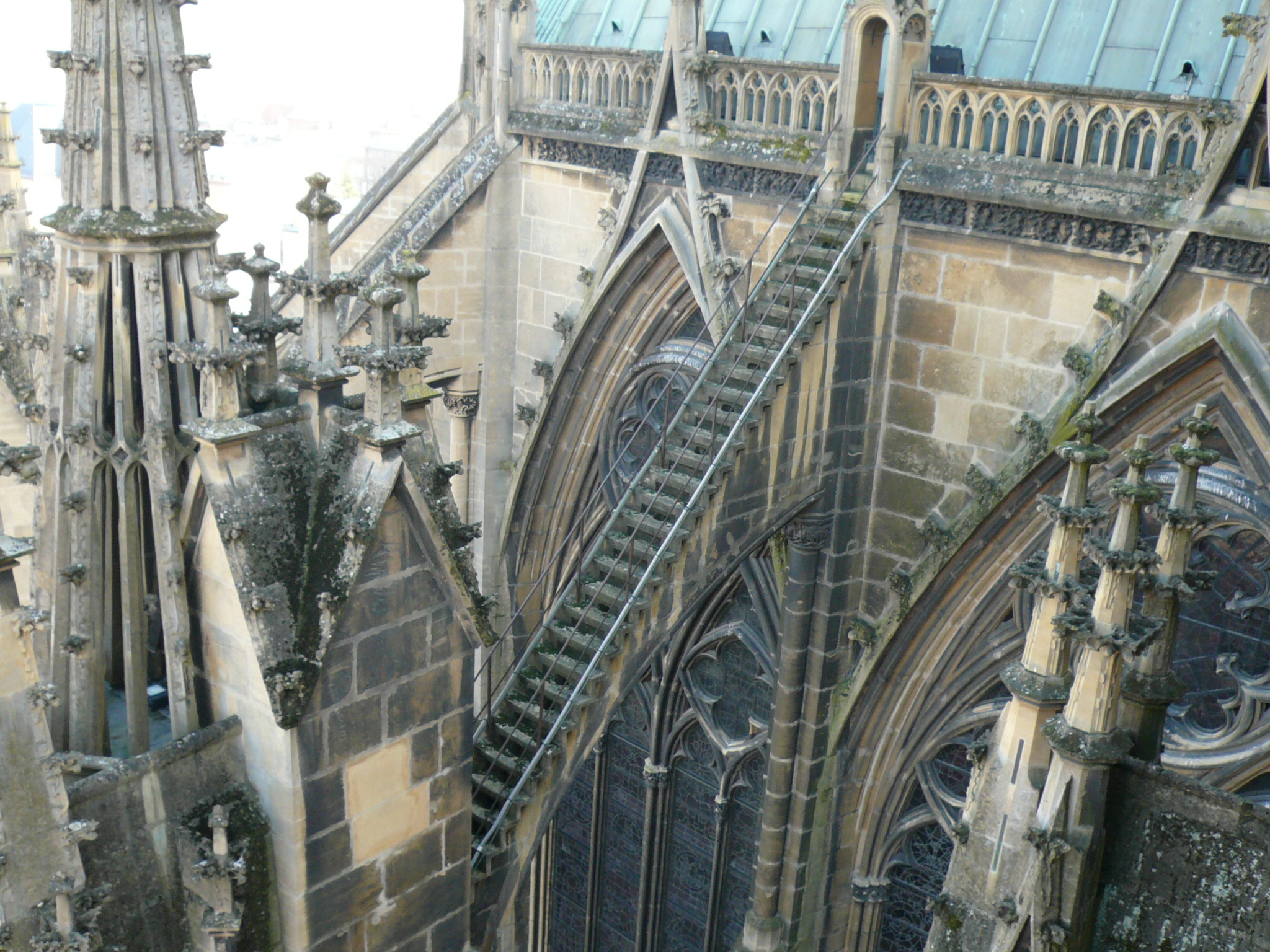 photo (6)